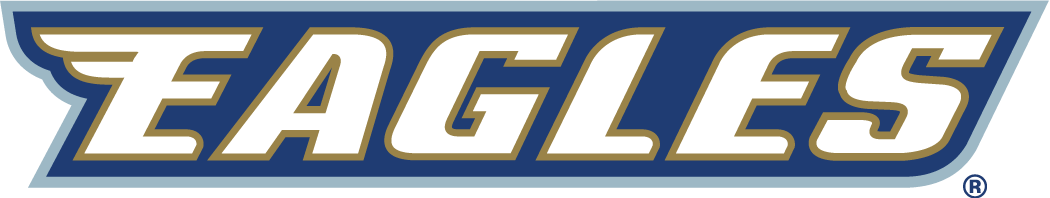 Georgia Southern Eagles 2004-Pres Wordmark Logo diy DTF decal sticker